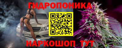 гашик Усть-Илимск
