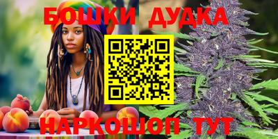 PSILOCYBIN Усть-Джегута