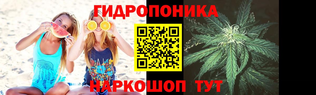 МАРИХУАНА планчик Минеральные Воды